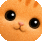 Tino the cat